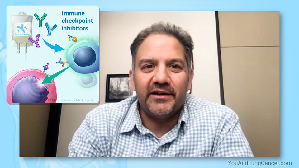 What immunotherapy treatments are used for small cell lung cancer (SCLC)?