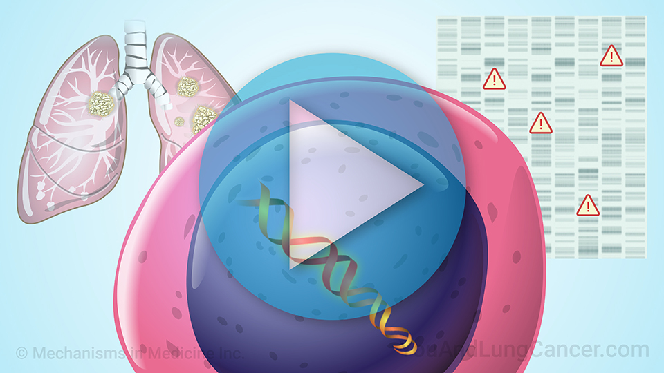 NSCLC Treatment for Less Common Mutations: ALK, BRAF, ROS1, HER2, MET