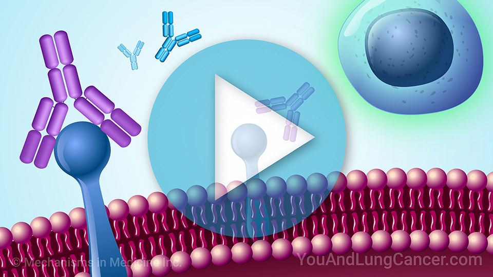 Immunotherapy for NSCLC with PD-1 and PD-L1 Biomarkers