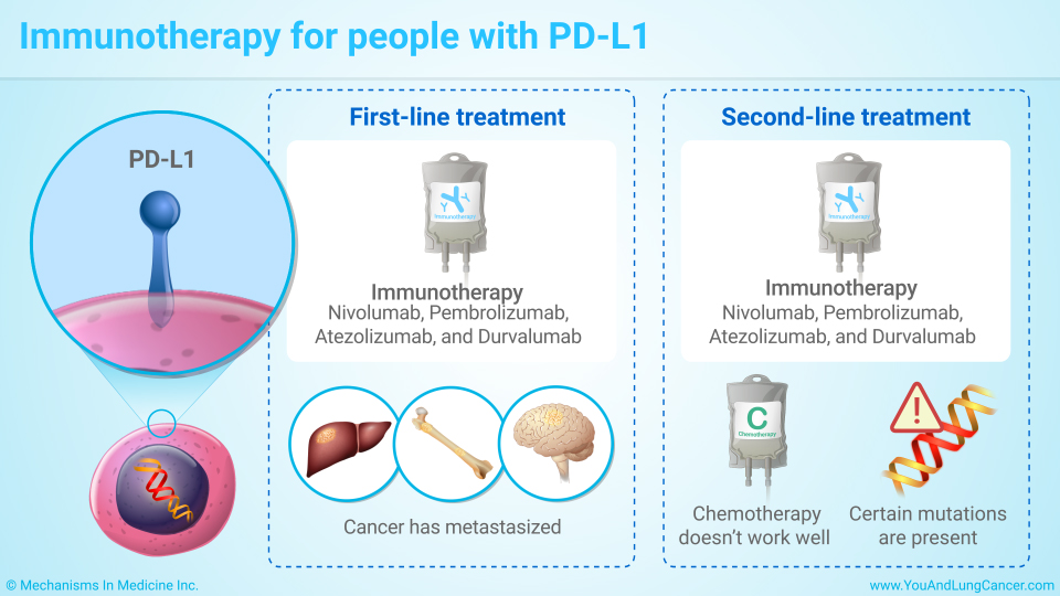 Immunotherapy for people with PD-L1 