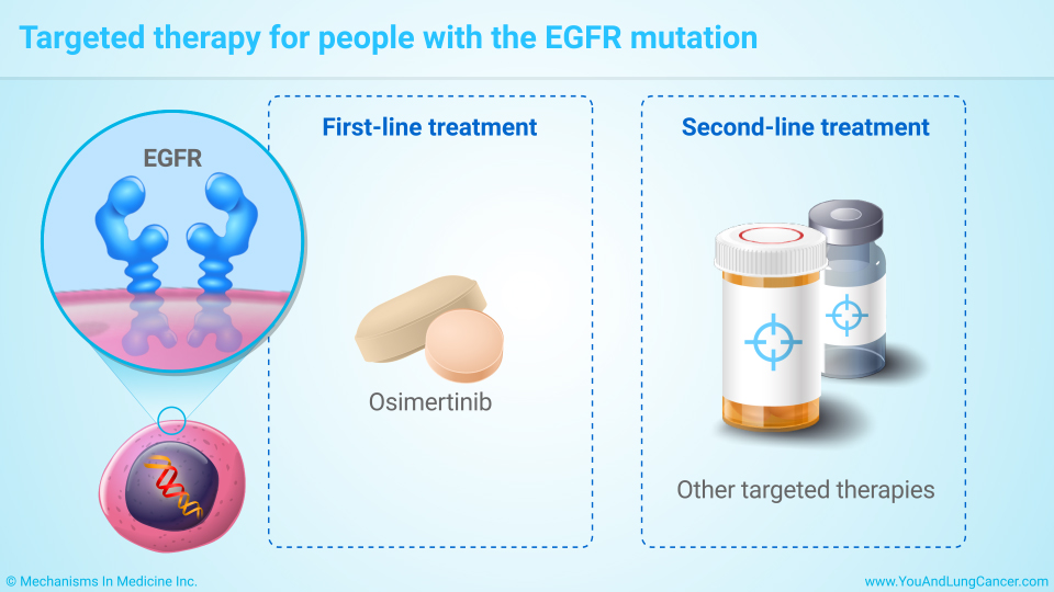 Targeted therapy for people with the EGFR mutation