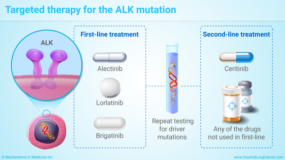 Targeted therapy for the ALK mutation