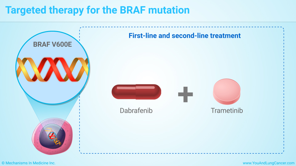 Targeted therapy for the BRAF mutation