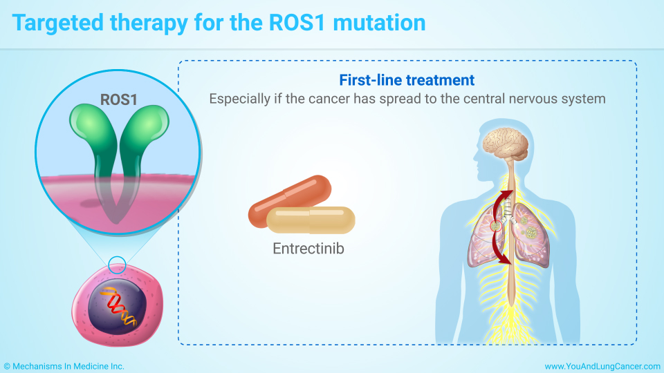 Targeted therapy for the ROS1 mutation