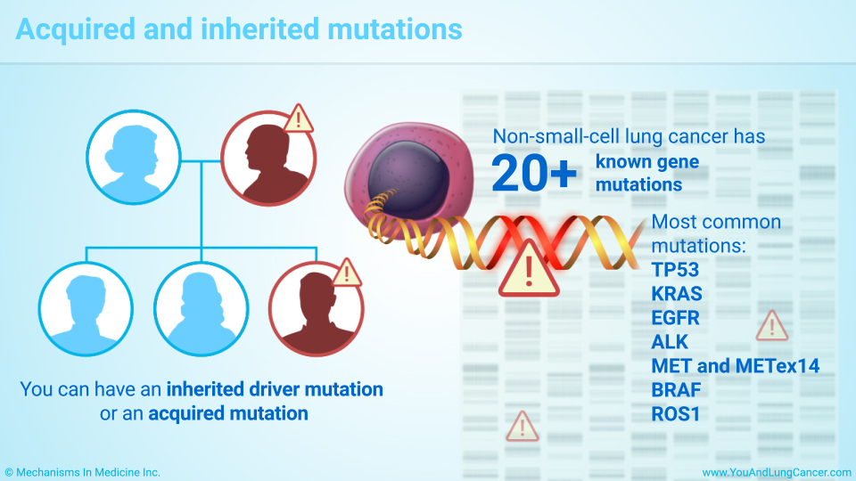 Acquired and inherited mutations