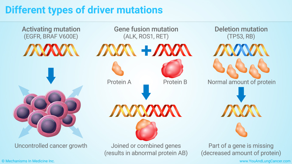 Different types of driver mutations