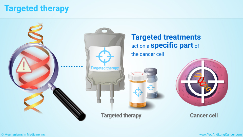 Targeted therapy 