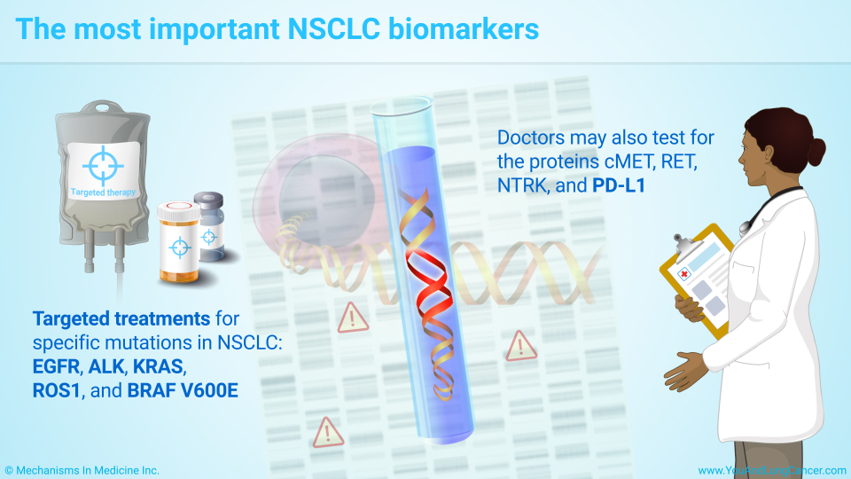The most important NSCLC biomarkers