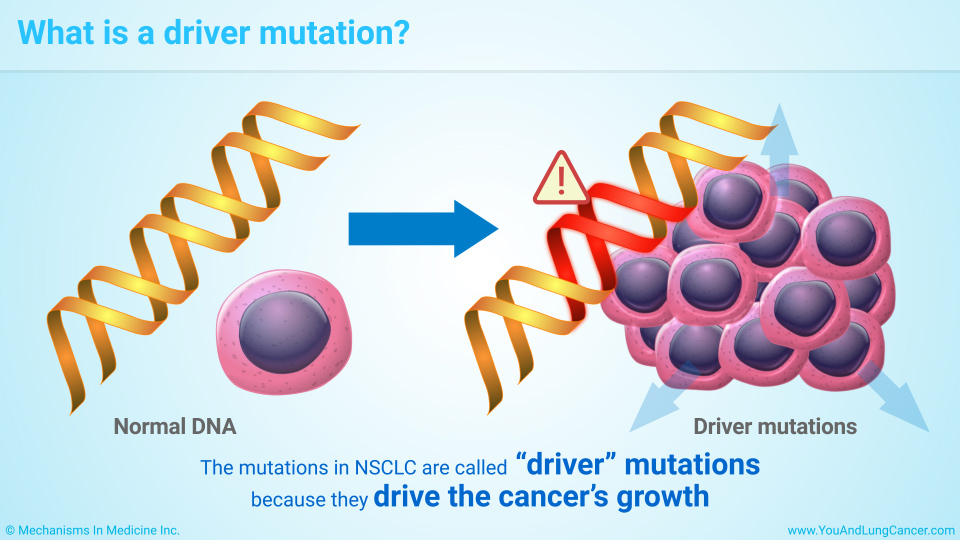 What is a driver mutation?