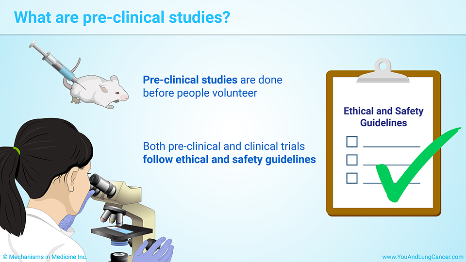 What are pre-clinical studies?
