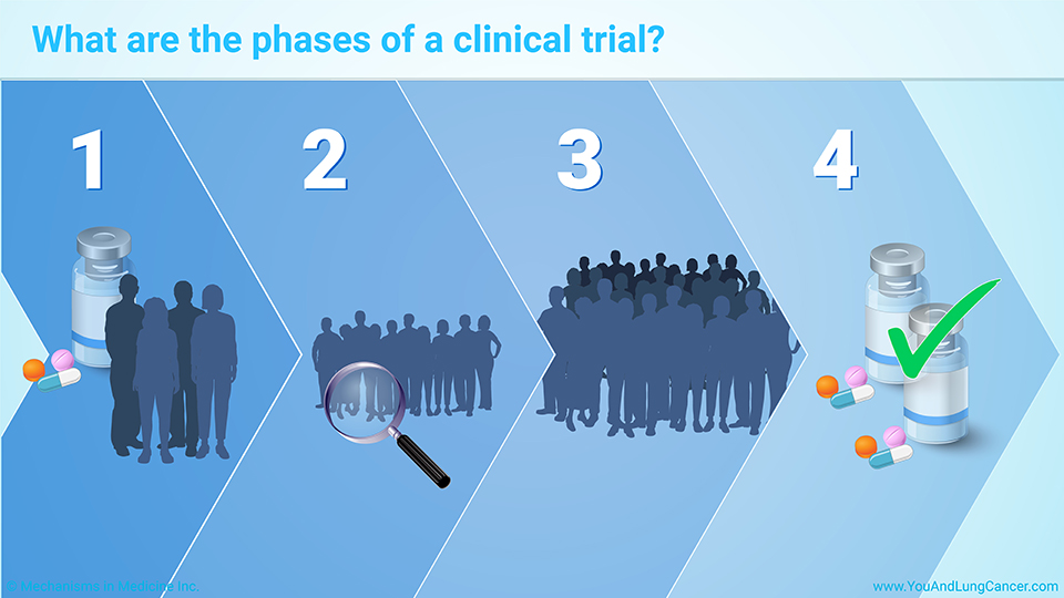 What are the phases of a clinical trial?