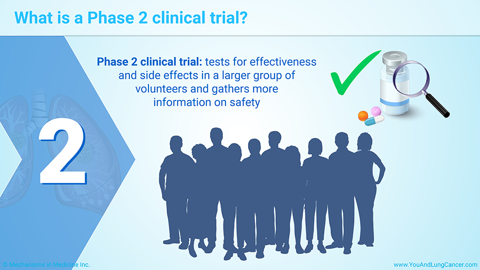 What is a Phase 2 clinical trial?