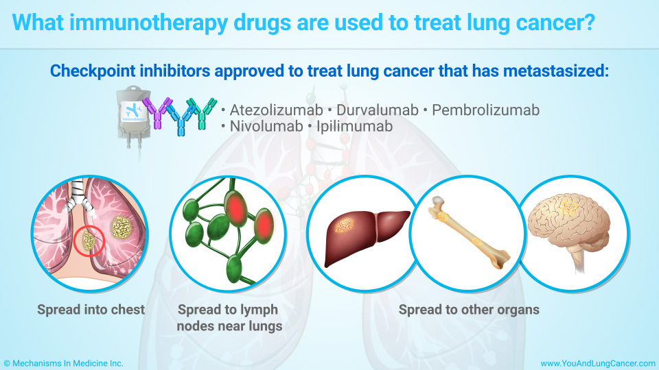 What immunotherapy drugs are used to treat lung cancer?