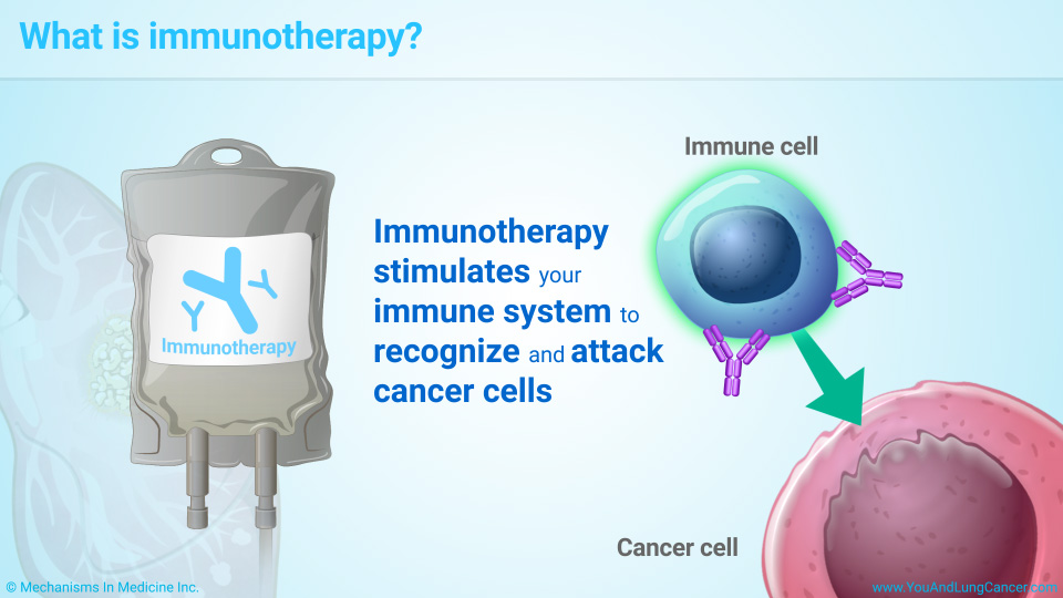 What is immunotherapy?